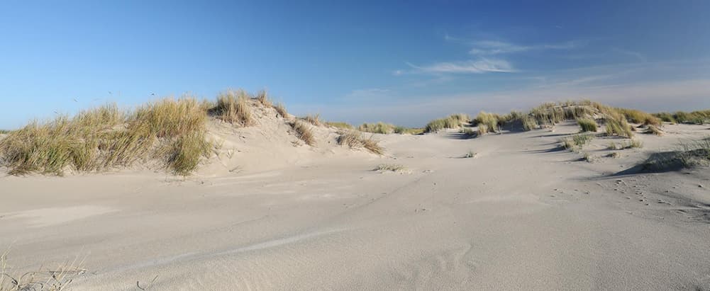 Originalbild von Landkreis Wittmund