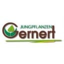 Logo Jungpflanzen Gernert Gbr