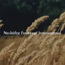 Logo Neuhoefer Fourrage International